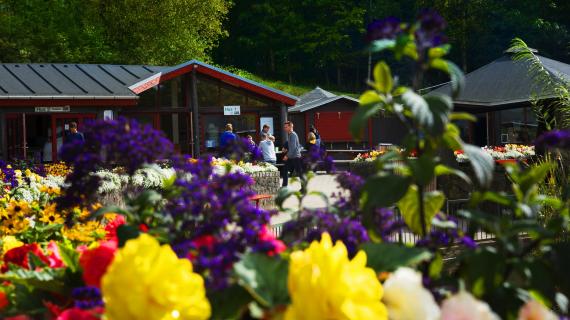 Blomster i Madsby Legepark